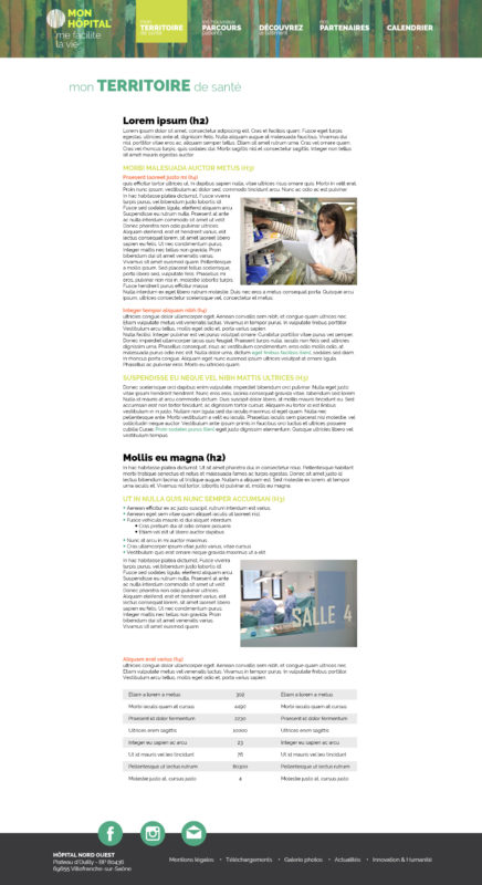 design web Celine Vivier Directeur Artistique web Lyon