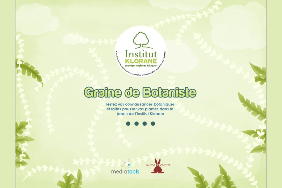 interface application Celine Vivier Graphiste Illustrateur jeux éducatifs pedagogiques Lyon