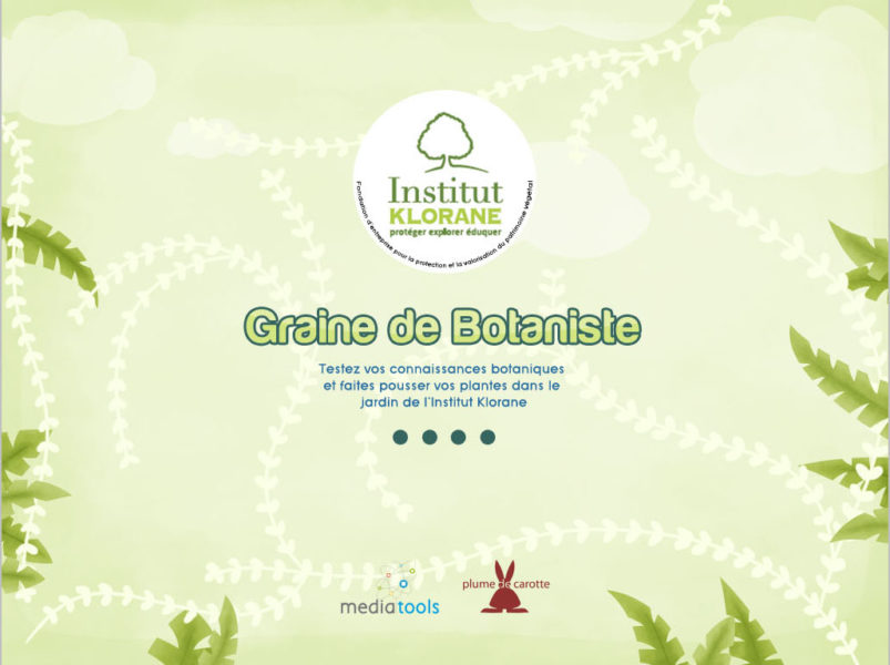 interface application Celine Vivier Graphiste Illustrateur jeux éducatifs pedagogiques Lyon