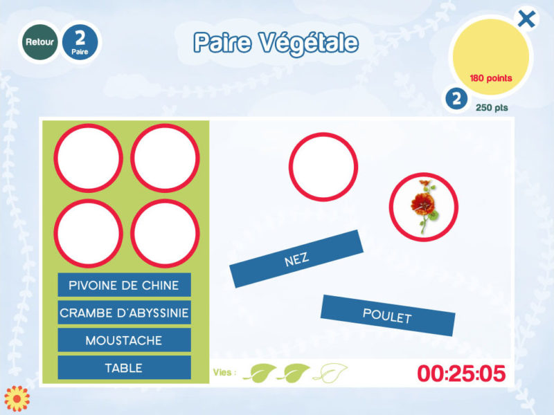 interface application jeu Celine Vivier Graphiste Illustrateur jeux éducatifs pedagogiques Lyon