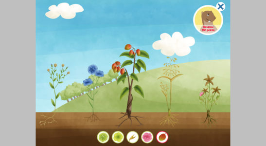 A travers la thématique des graines, ce jeu a pour vocation la sensibilisation des plus jeunes aux enjeux de la protection de la biodiversité végétale.