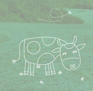 habillage illustré site web Celine Vivier Directeur Artistique Lyon