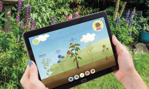 application klorane Celine Vivier Graphiste Illustrateur jeux éducatifs pedagogiques Lyon