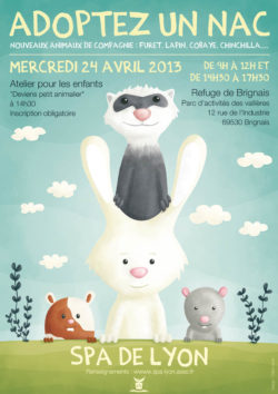 Celine Vivier Illustrateur Lyon